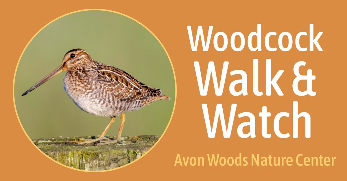 FREE Woodcock Walk & Watch