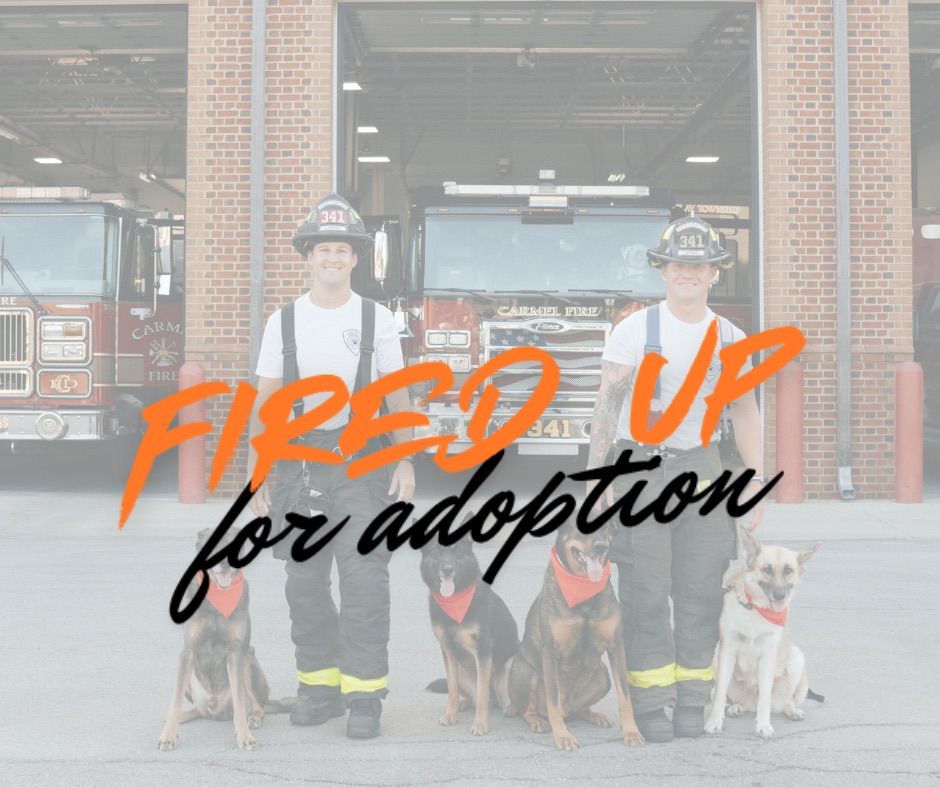 FIRED UP FOR ADOPTION- Carmel Firefighter Calendar