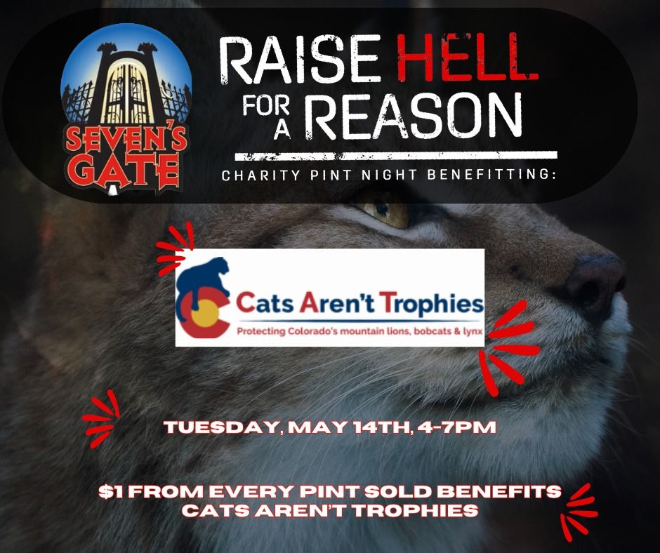 Raise Hell for a Reason - Cats Aren't Trophies 