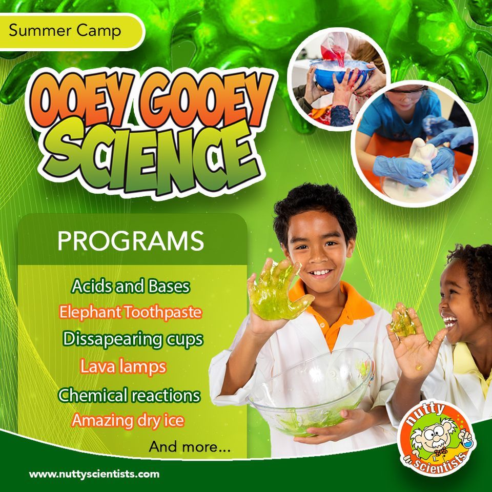 Rosslare Summer Camps
