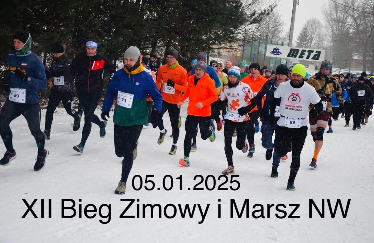 XII Bieg Zimowy