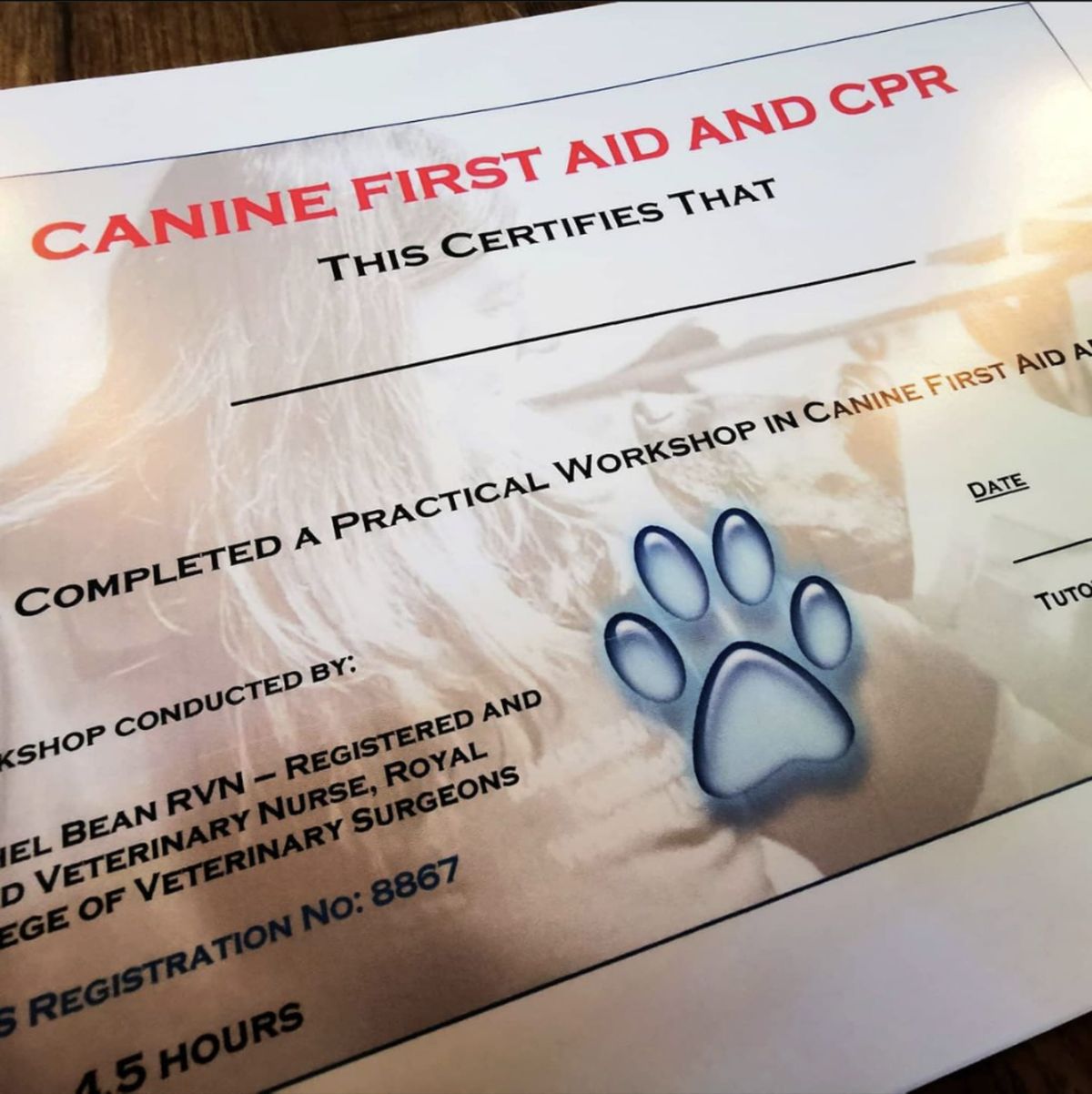 Canine First Aid with Rachel Bean