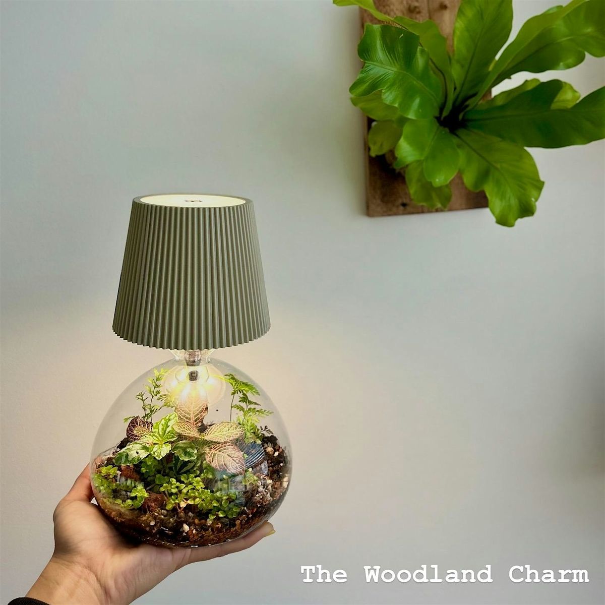 Delicate Terrarium Lamp Workshop