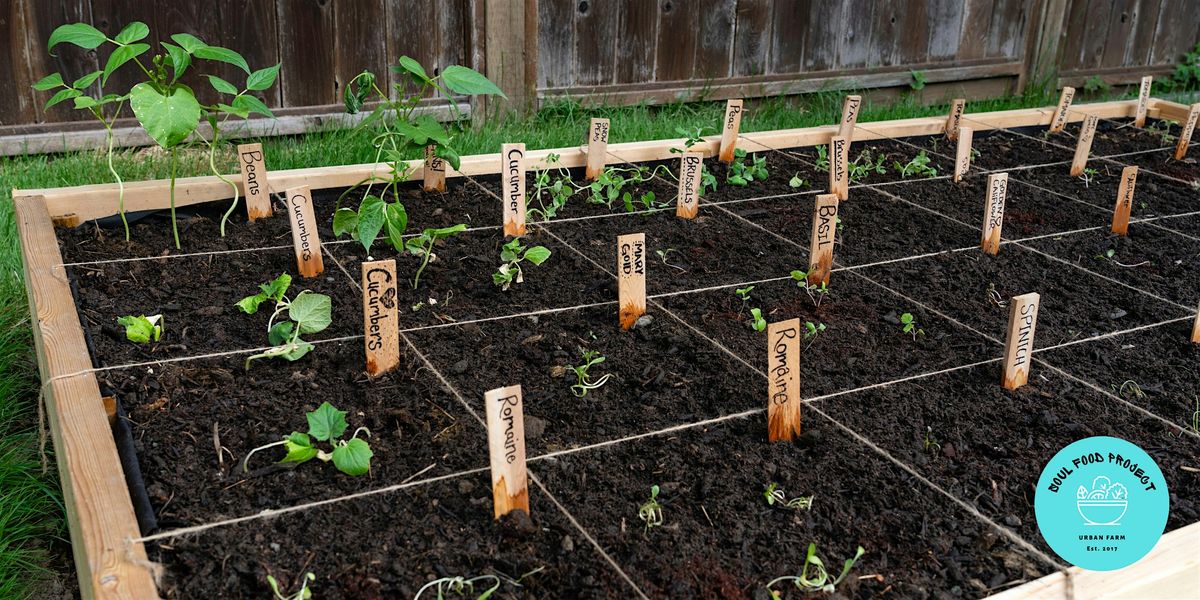 Garden Orientation and Layout Planning [Free Workshop]