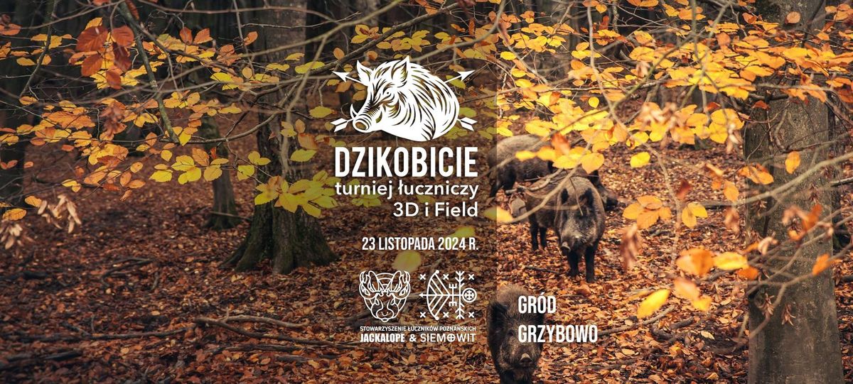 Dzikobicie na Grzybowie - II Turniej \u0141uczniczy 3D i Field