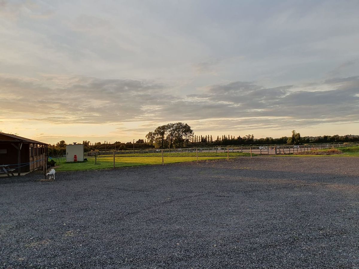 Brook Stud Dressage 