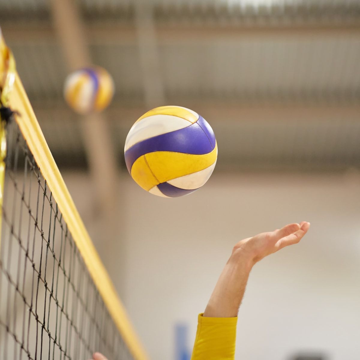 South Dakota Coyotes at Denver Pioneers Womens Volleyball