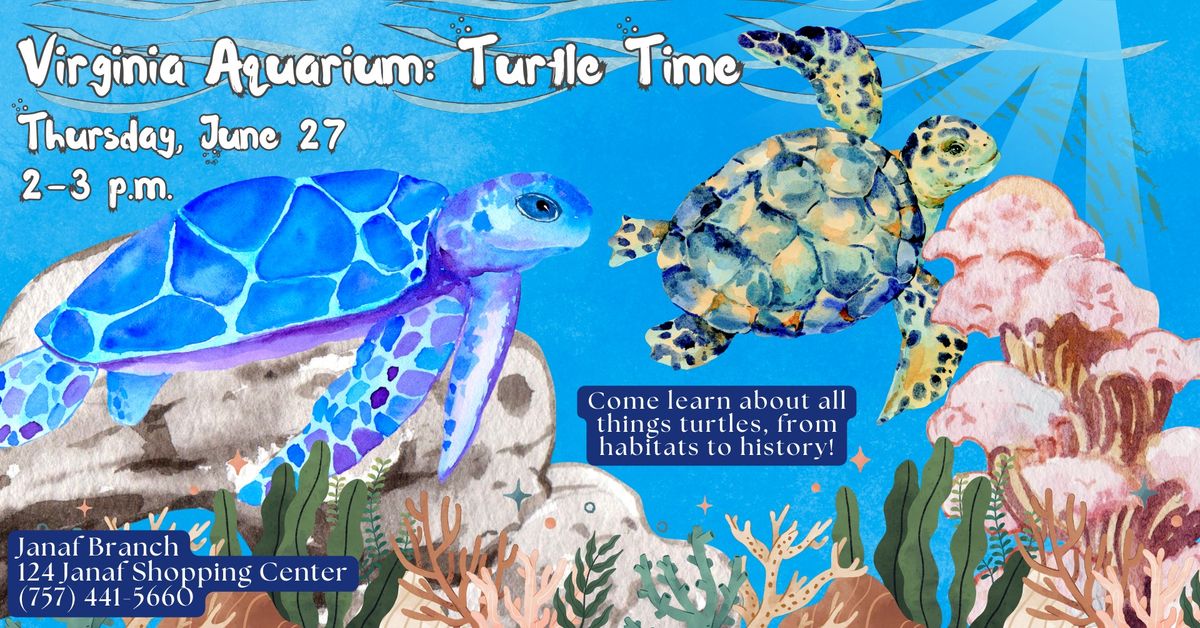 Virginia Aquarium: Turtle Time