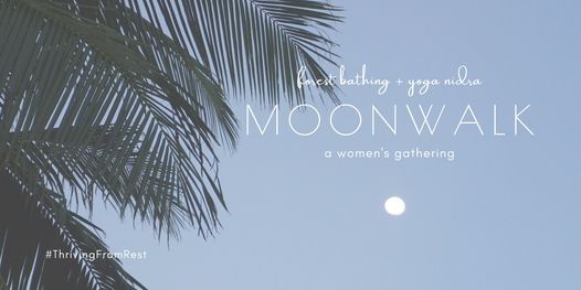 Moon Walk: Forest Bathing + Yoga Nidra (a women's gathering)