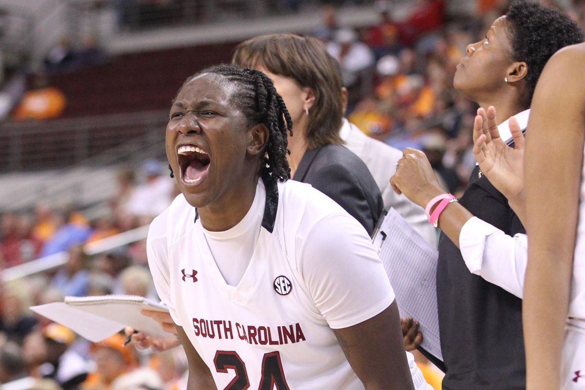 Tennessee Lady Volunteers at South Carolina Gamecocks Womens Basketball