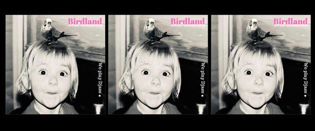 Birdland \/ Kulturhuset Islands Brygge