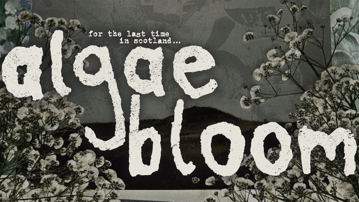 Algae Bloom