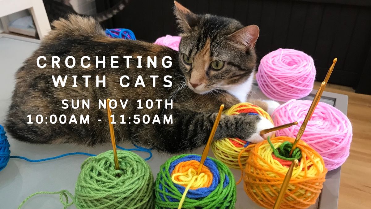 Crocheting with Cats