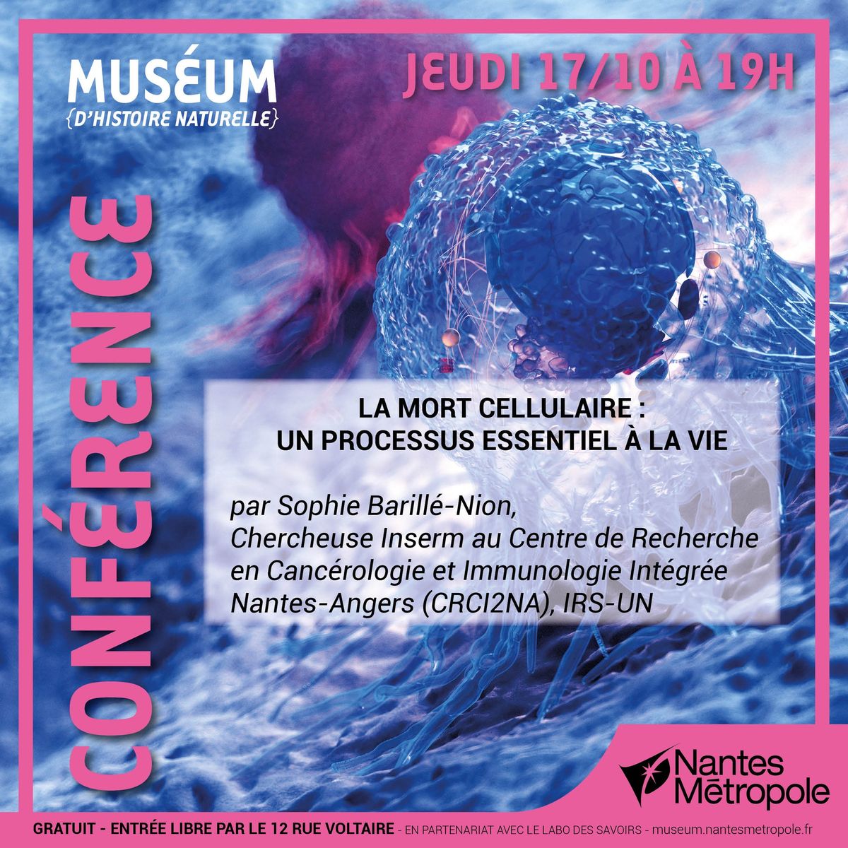 Conf\u00e9rence - La mort cellulaire : Un processus essentiel \u00e0 la vie