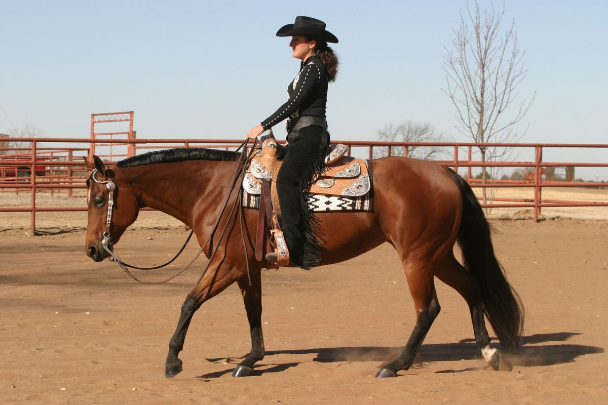 The Mane Event All Breed Buckle Circuit 