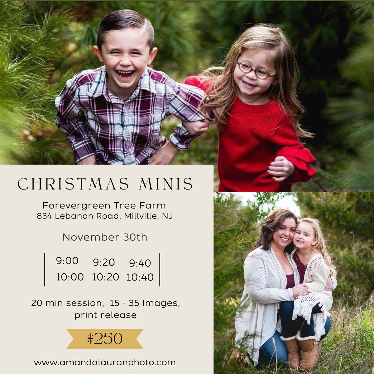 Christmas Mini Sessions