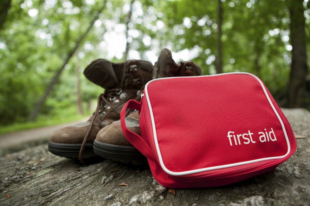 1st Aid for Forest School and All Education Settings - MEETS OFSTED REGULATIONS