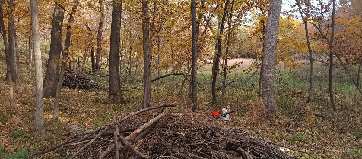 Nine Mile Creek - Volunteer Habitat Restoration