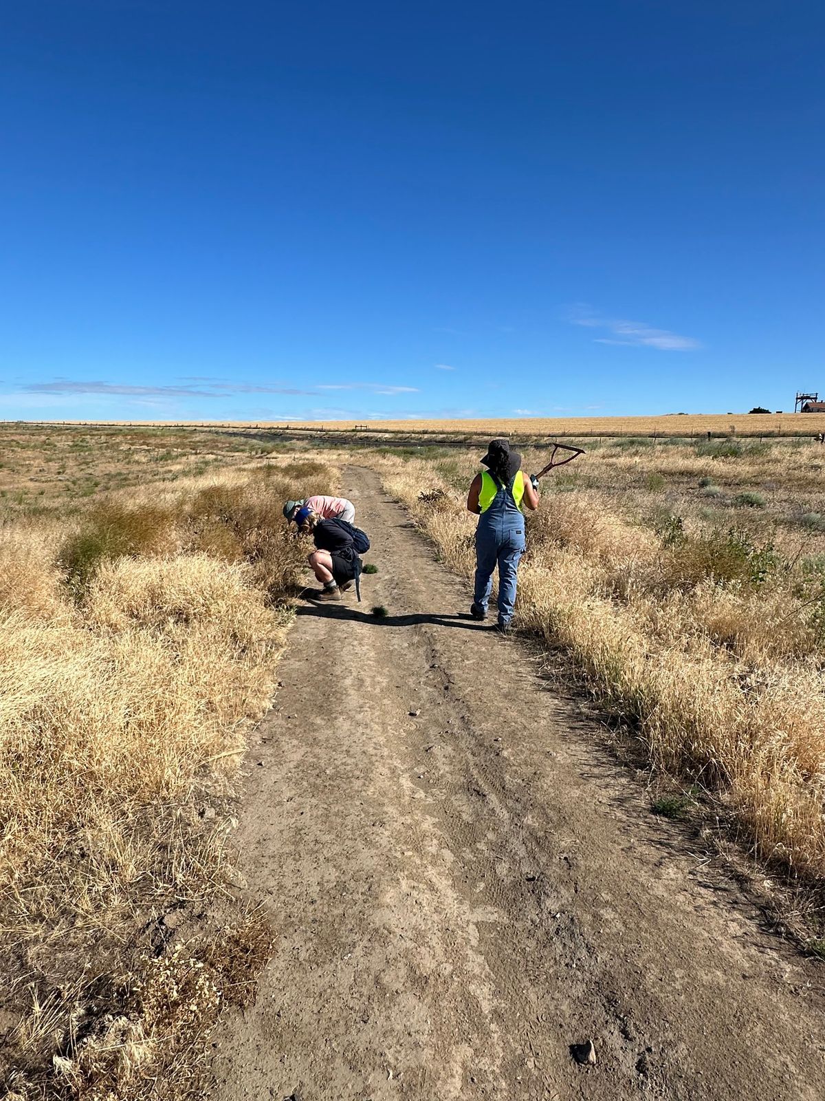 Trail Work Party 