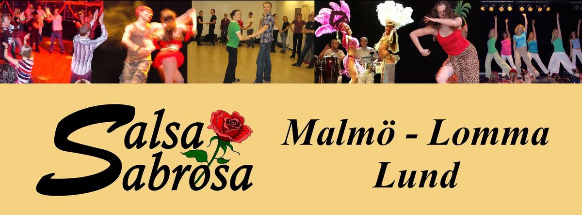 Salsakurser Malm\u00f6 Lund + Bachata Salsa kurs V\u00e5ren 2025