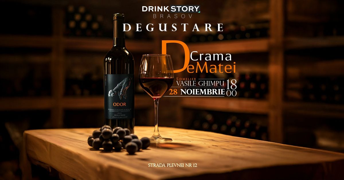 Degustare Crama deMatei \/ somelier Vasile Ghimpu - Drink Story Brasov