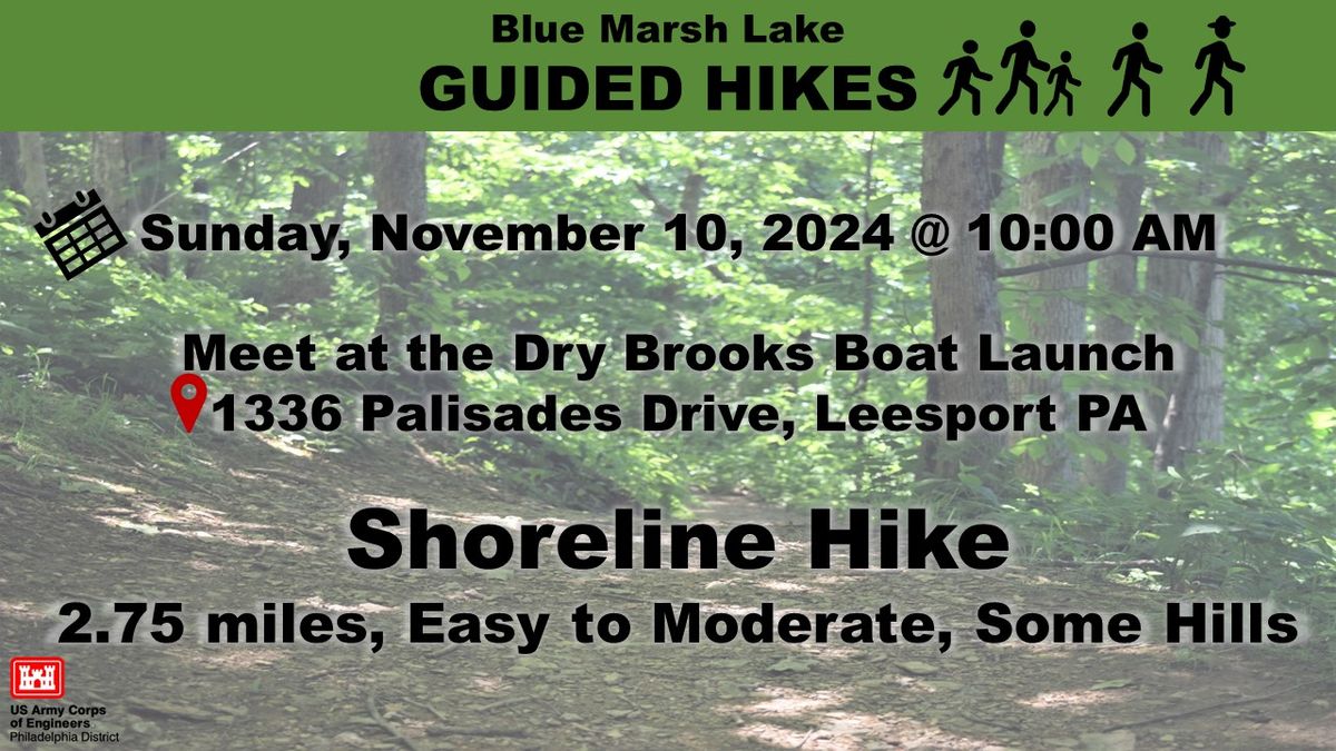 Guided HIke - Shoreline Hike