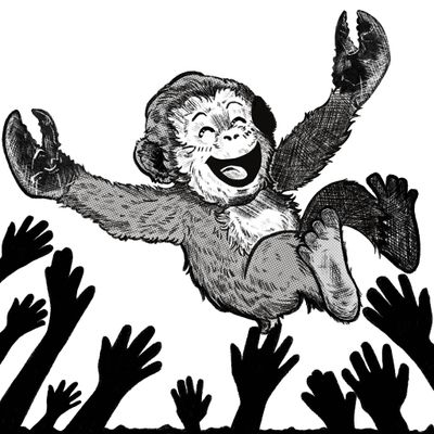 Lobster Monkey Booking