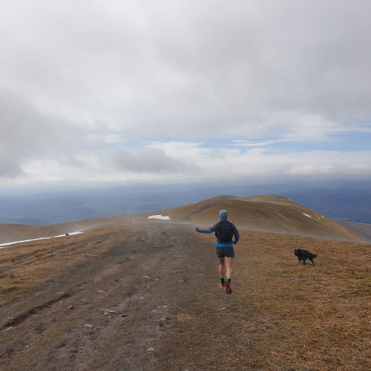 KITE- Trail Run