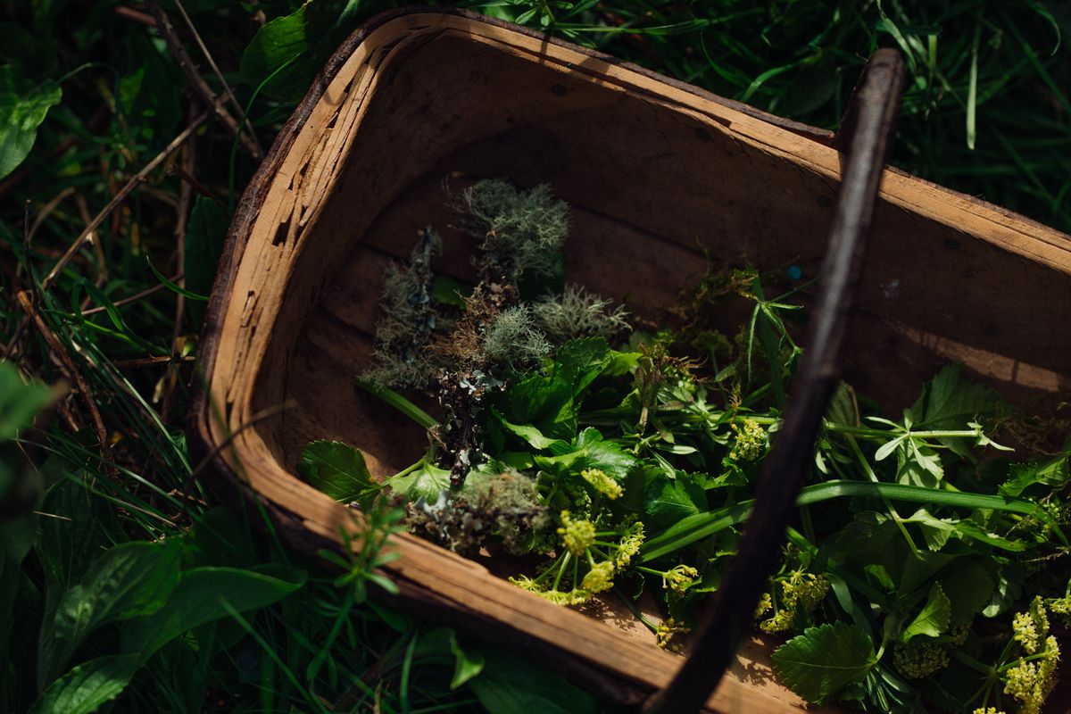 Foraging & Feasting Course