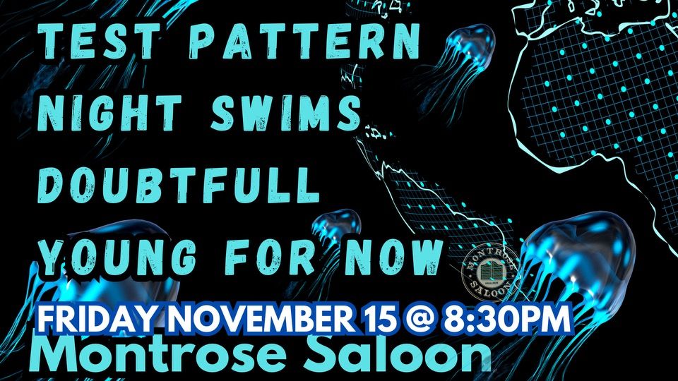 Test Pattern\/Night Swims\/Doubtfull\/Young For Now @ Montrose Saloon, Friday November 15