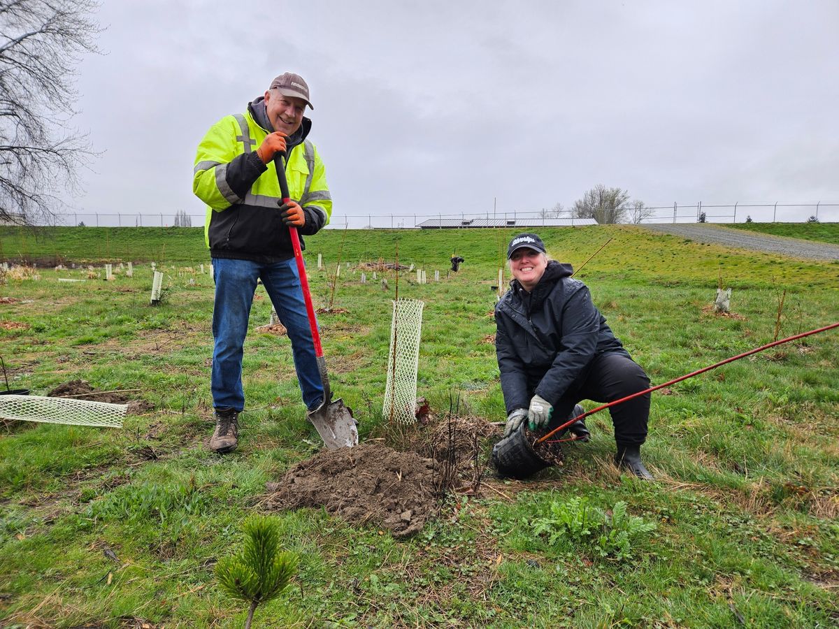 Orca Recovery Day Planting Party