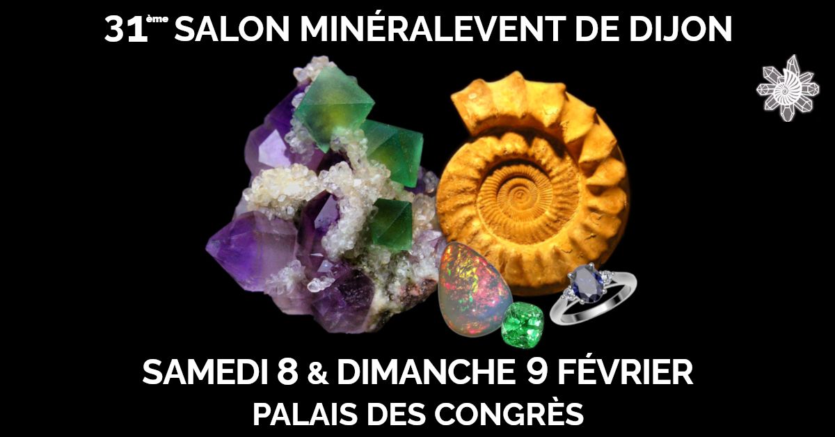 31\u00e8me Salon Min\u00e9ralEvent Dijon - Min\u00e9raux, Fossiles, Gemmes, M\u00e9t\u00e9orites, Cristal & Bien-\u00eatre, Bijoux