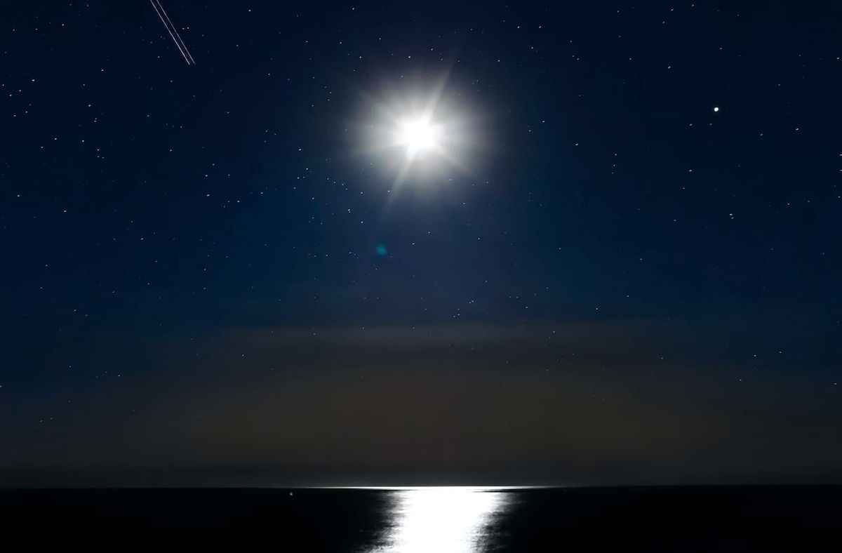 Parking BATSU! - Fort Lauderdale