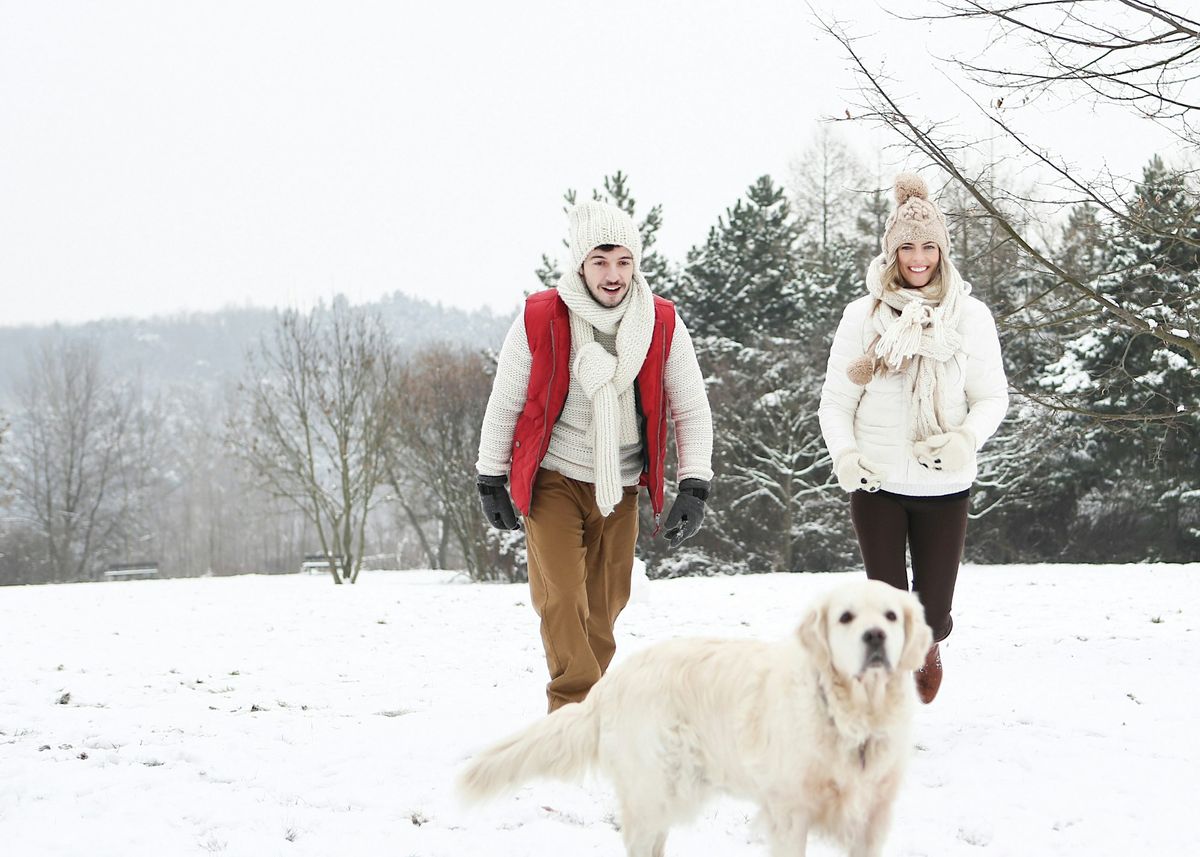 Toronto Singles Winter Nature Walk - Humber River (Ages 35-50)