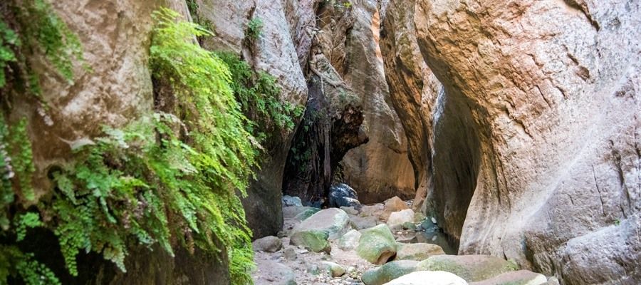 Excursion and hike in the Avaka Gorge - 12 April