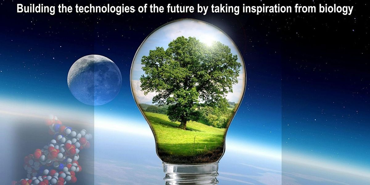 Building the Technologies of the Future by Taking Inspiration from Biology