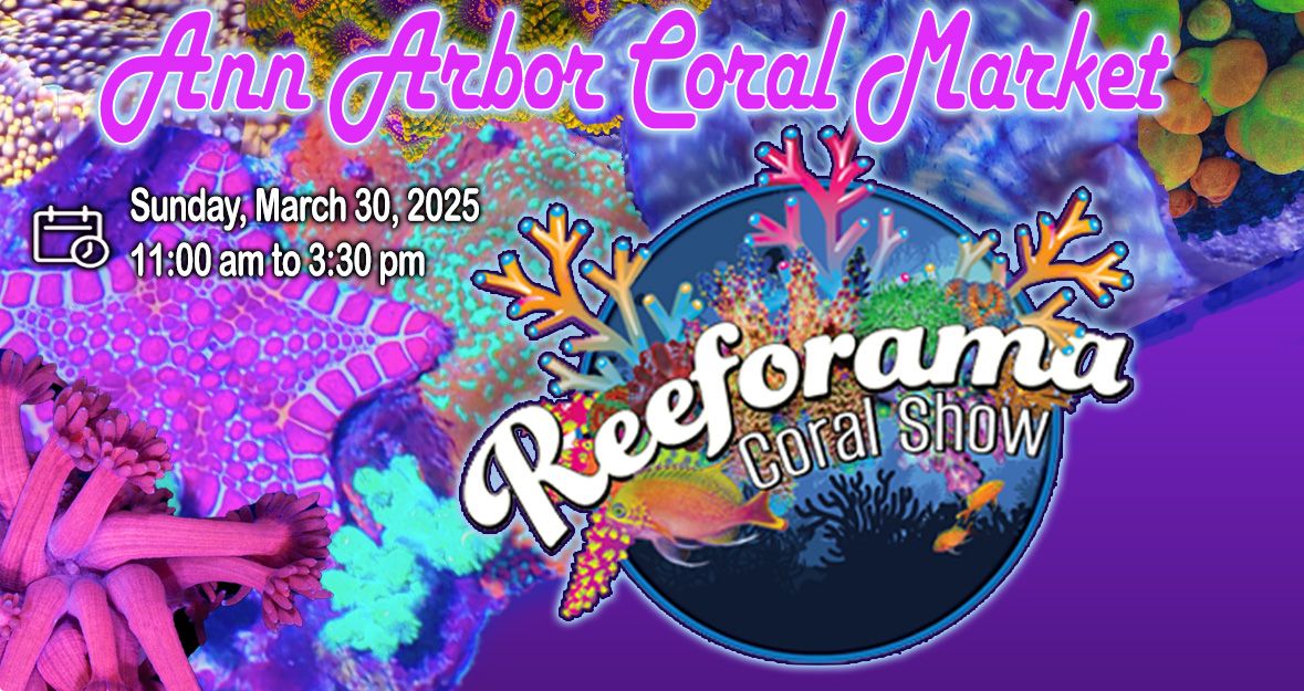 Ann Arbor Coral Market -  Reeforama Aquarium Show