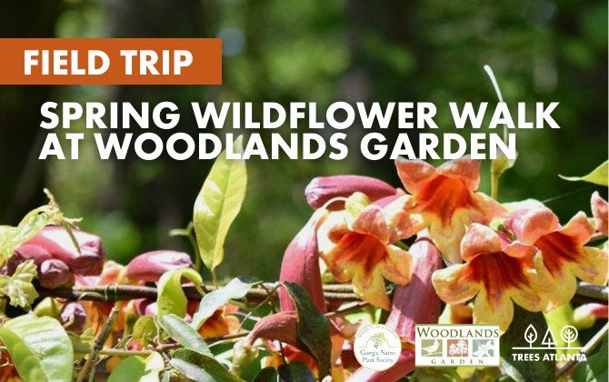 Field Trip: Spring Wild Flower Walk at Woodlands Garden (Morning)