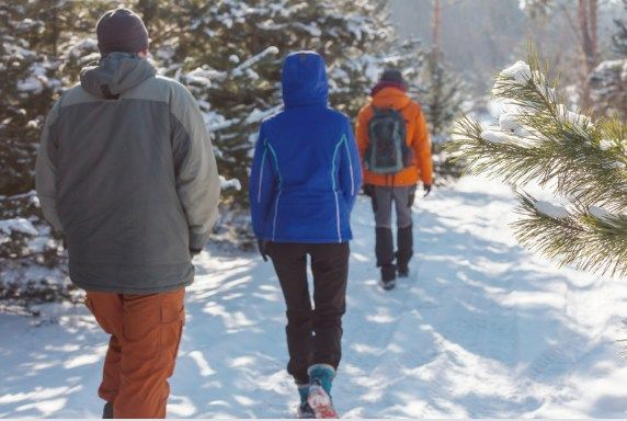 Winter Guided Hike