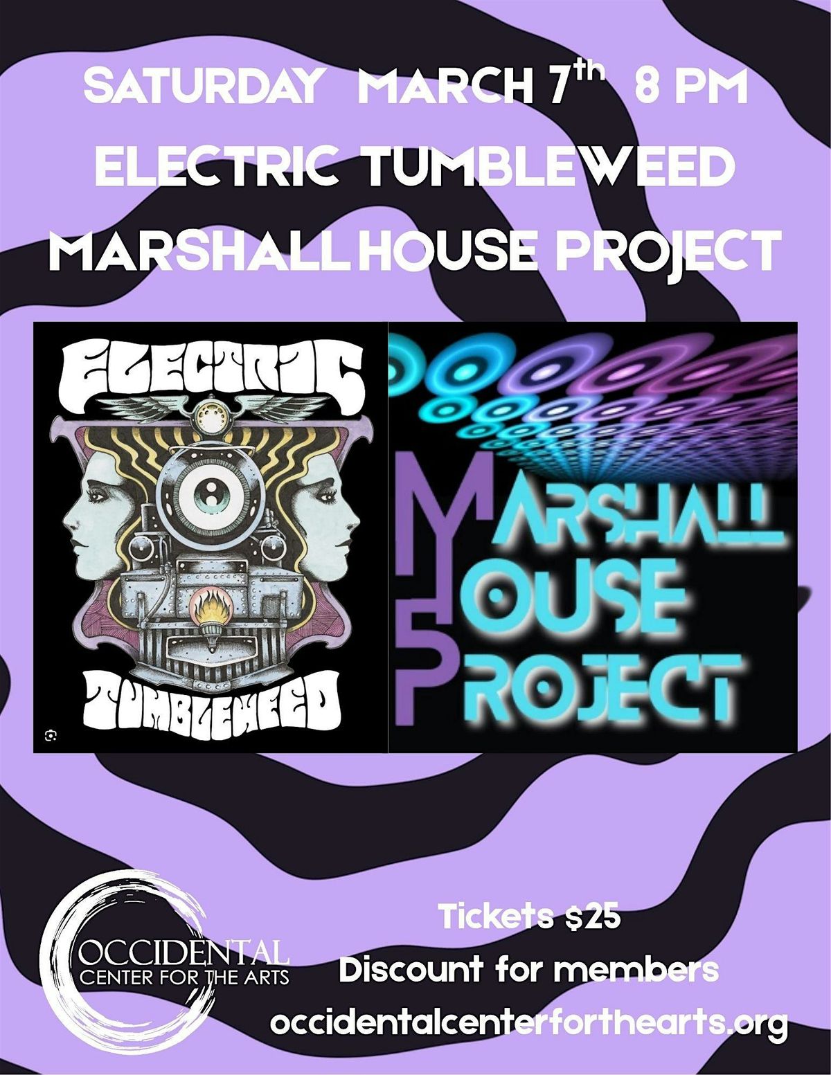 Marshall House Project and Electric Tumbleweed in Occidental