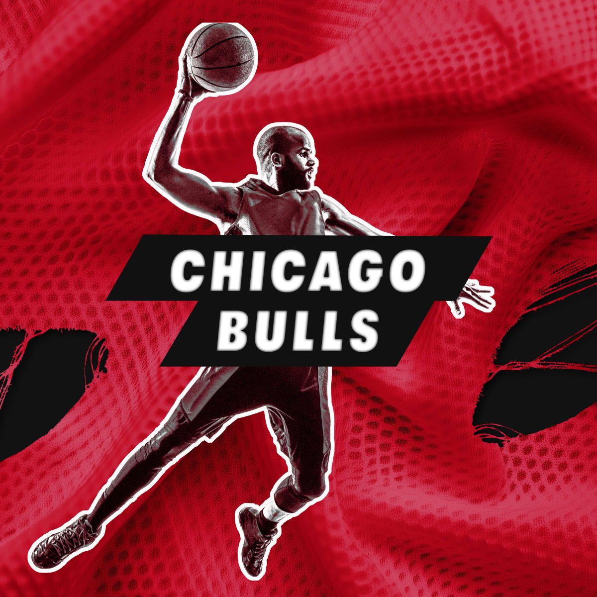 Charlotte Hornets at Chicago Bulls at United Center