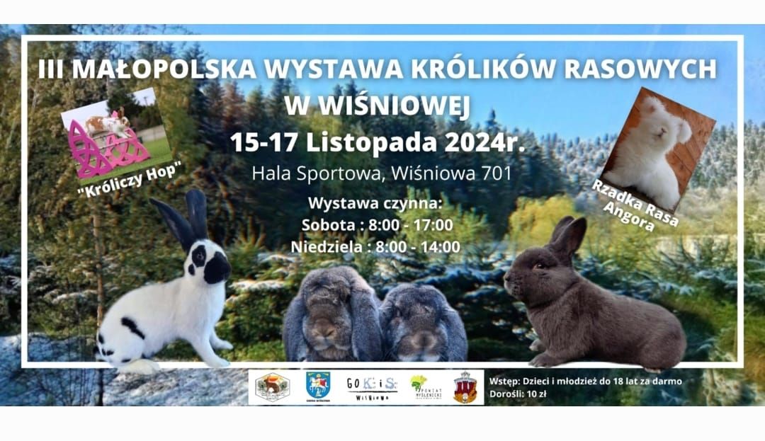 III MA\u0141OPOLSKA WYSTAWA KR\u00d3LIK\u00d3W RASOWYCH w WI\u015aNIOWEJ 