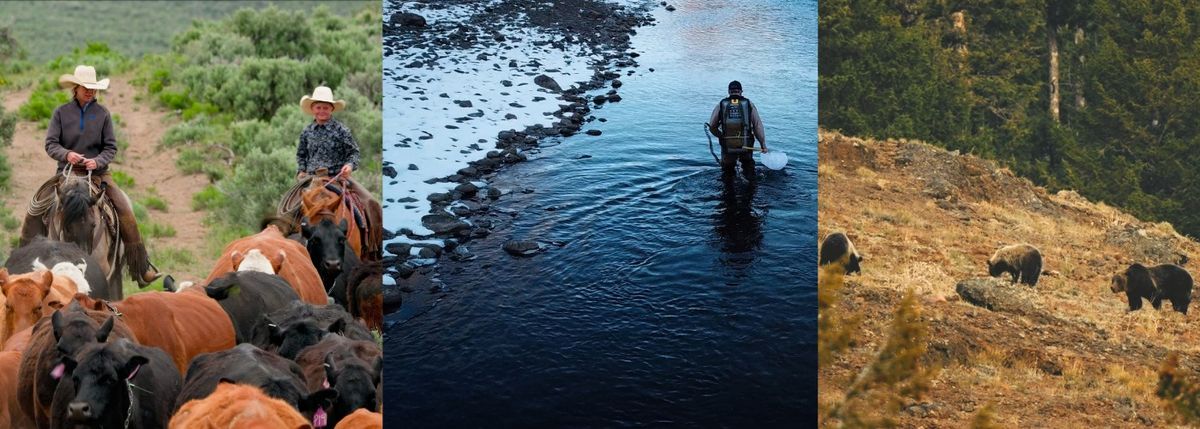 Working Hands, Wild Lands - Mini documentary film festival 