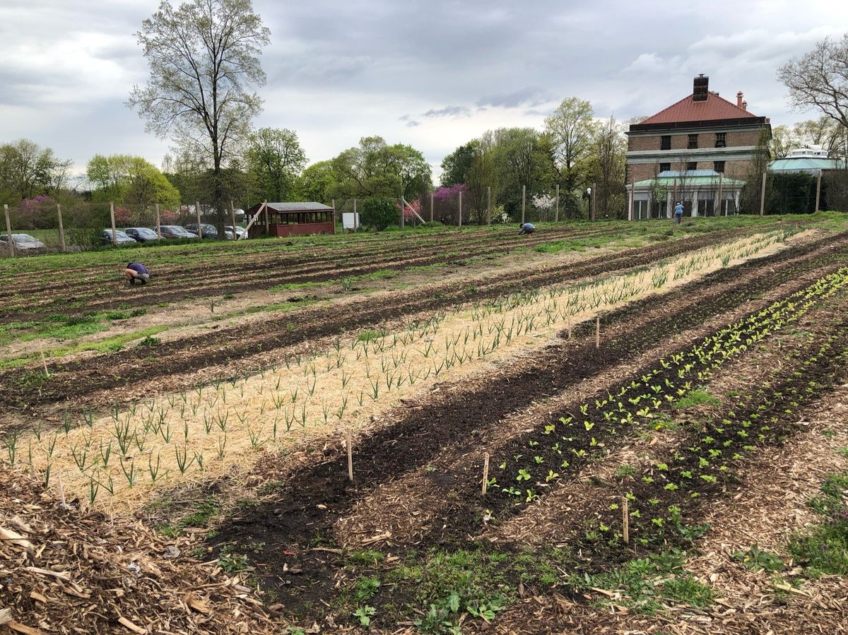 Heritage Farm and Compost Tour