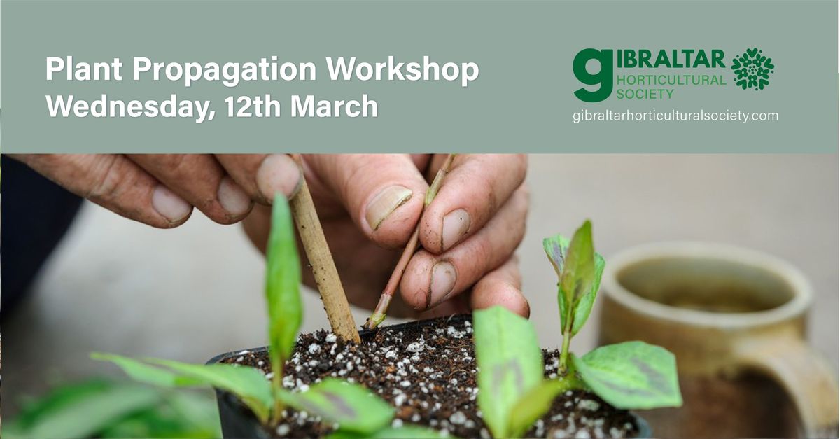 Plant Propagation Workshop