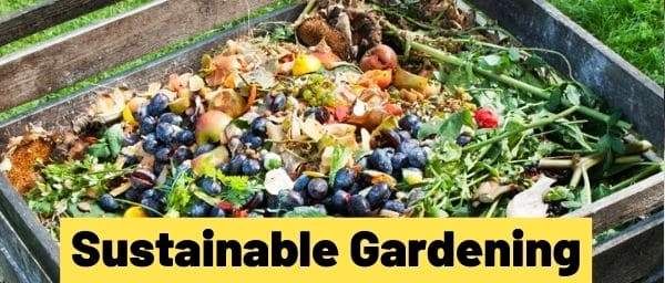 "Sustainable Gardening Practices" with Jacob Kluza