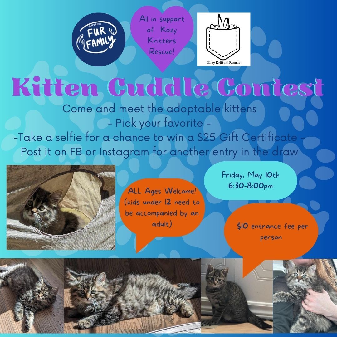 Kitten Cuddle Contest for Kozy Kritters