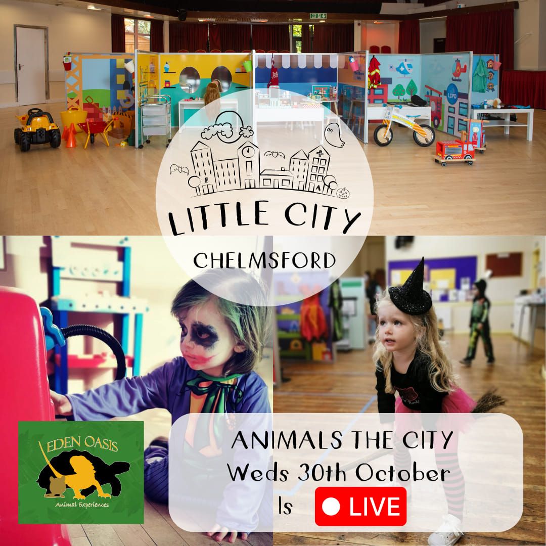 Little City: Broomfield Cheerful Chai *Animal special*