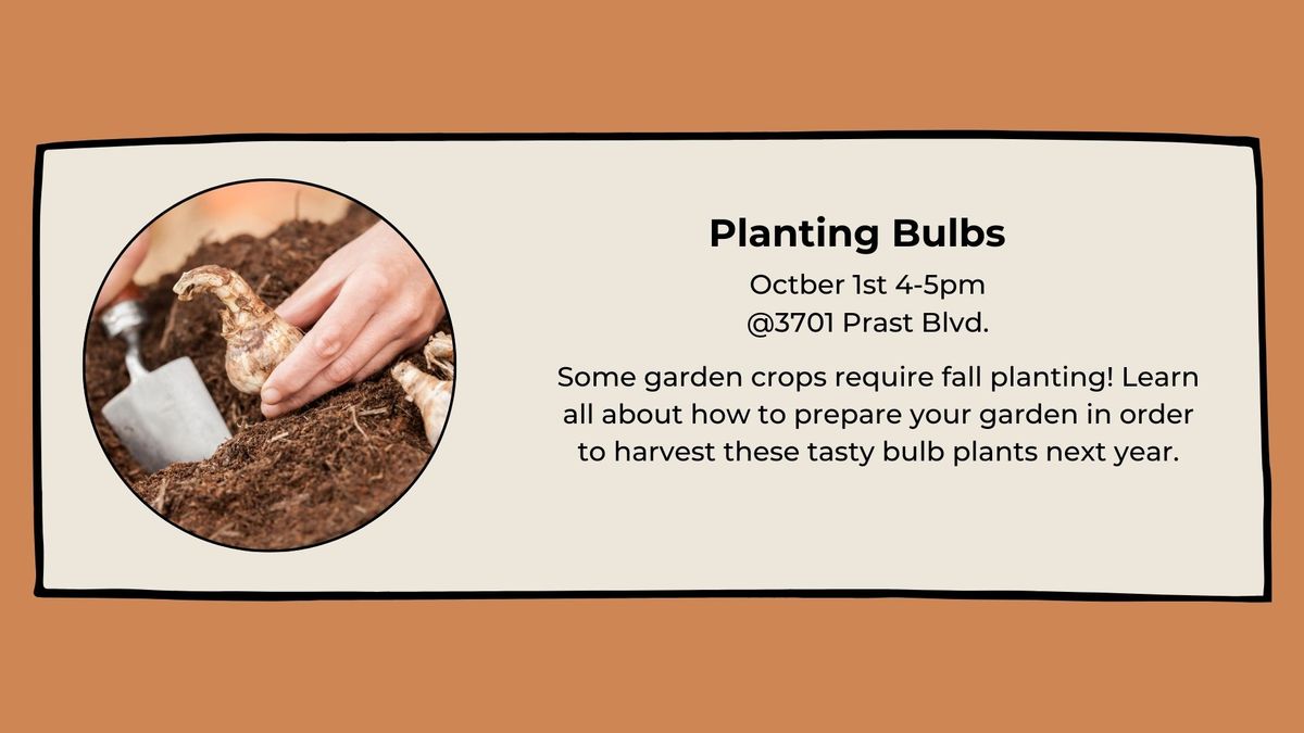 Planting Bulbs