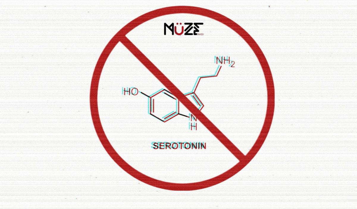 M\u00fcZE- SEROTOnone Rave (Soft Touch Rave)